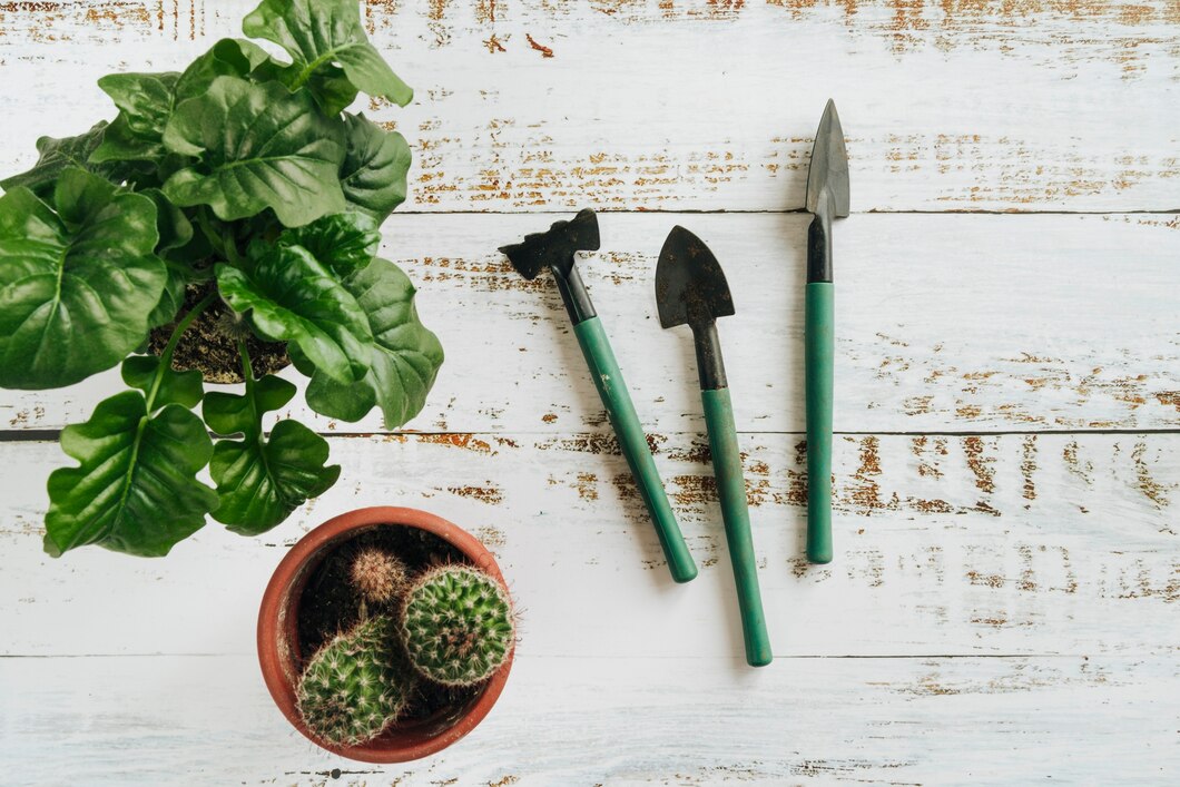 Jak wybrać profesjonalne narzędzia, dzięki którym stworzysz swój wymarzony ogród?